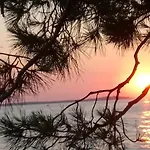 Annamaria * Пула