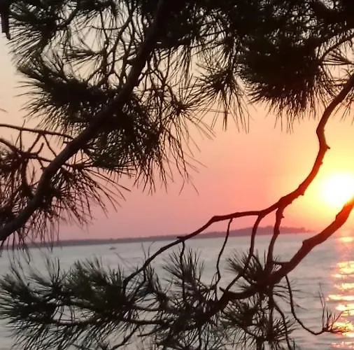 Annamaria * Pula