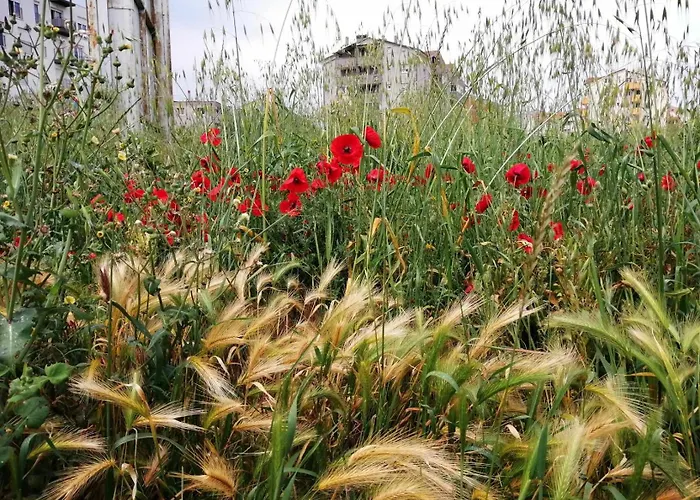 Διαμέρισμα Annamaria Πούλα